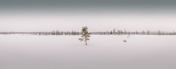 Guide pratique pour réussir votre résiliation de cap tonic